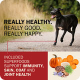 Powerfood Fusion Grain-Free Land Mix Recipe