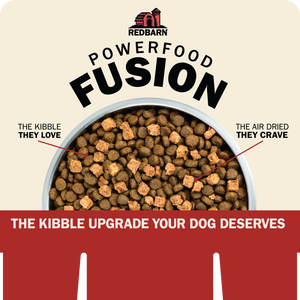 BUNDLE - Floor Display & FUSION Header Card