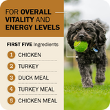 Powerfood Fusion Grain-Free Sky Mix Recipe