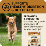 Powerfood Fusion Grain-Free Sky Mix Recipe