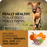 Powerfood Fusion Grain-Free Sky Mix Recipe