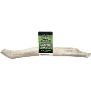 Whole Deer Antler