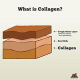 Collagen Stick